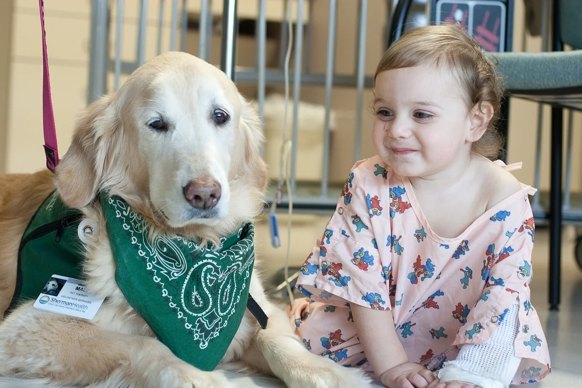 Therapy Dog at Sherman Hospital