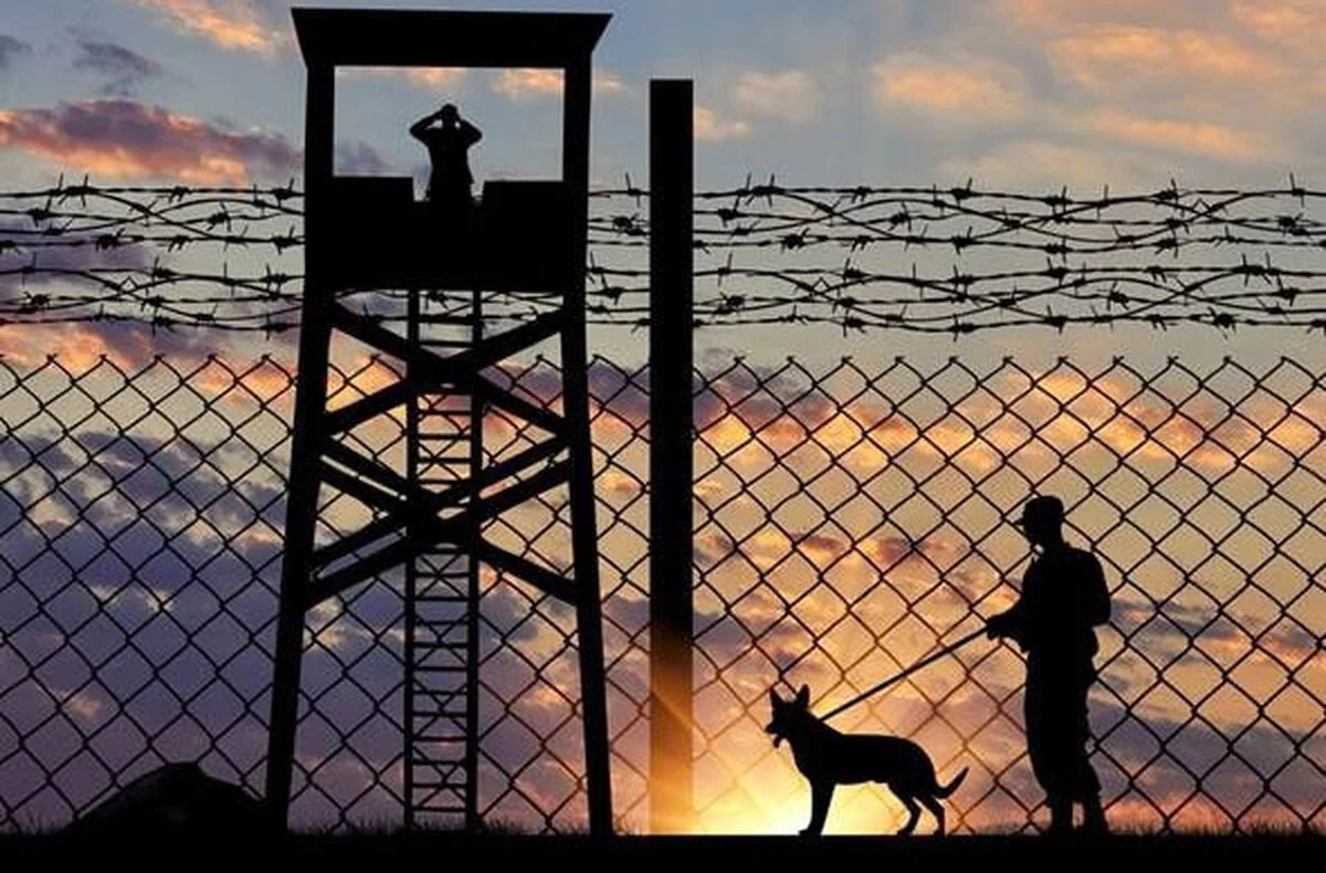 Military Working Dog with Handler