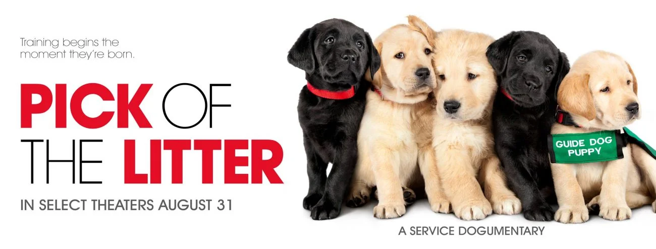 Pick of the Litter Facebook Banner