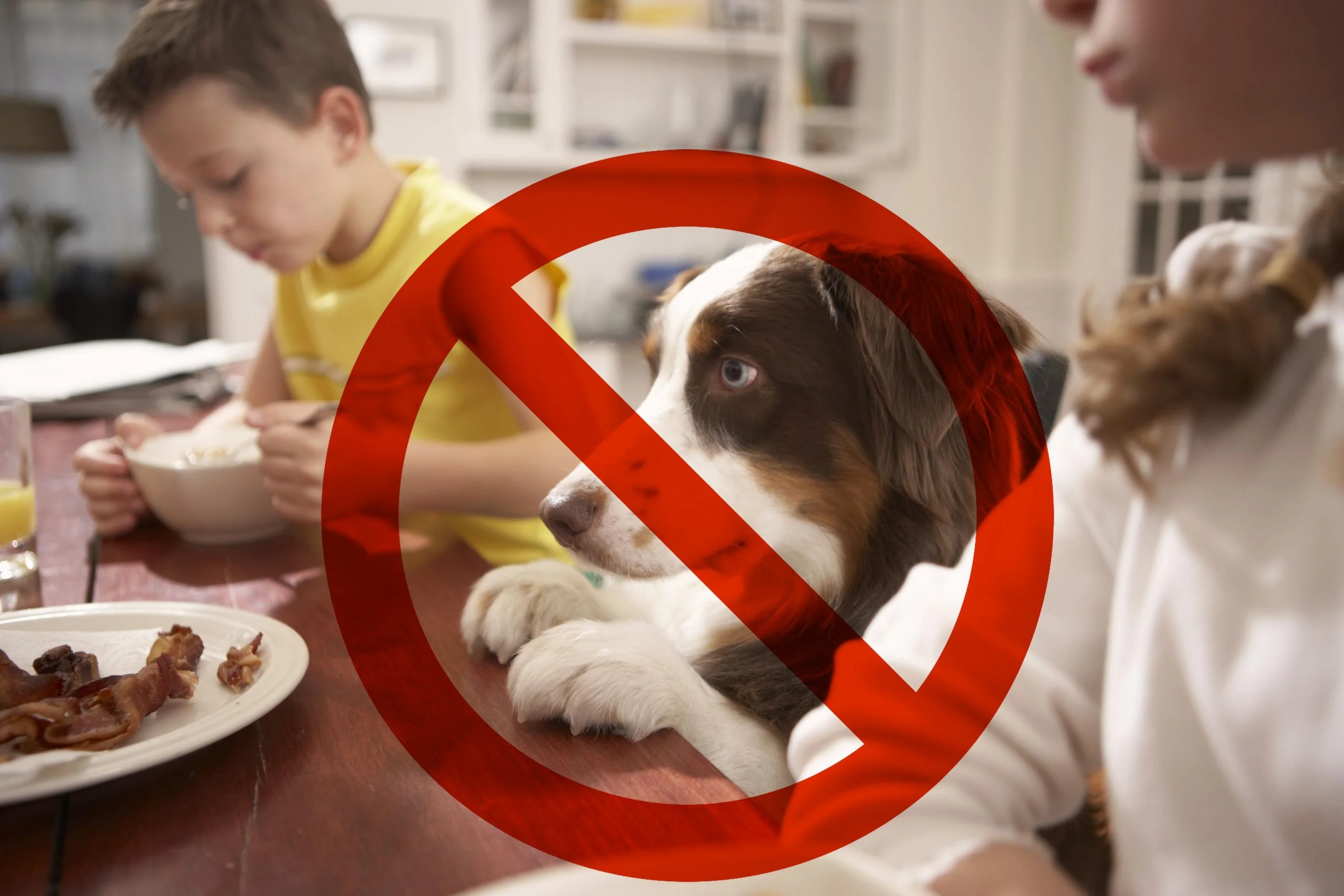 No dogs at the table
