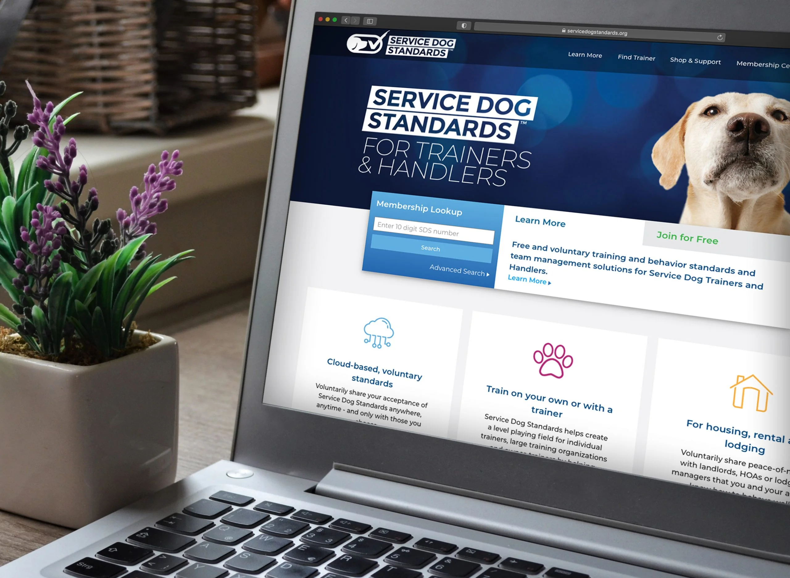Service Dog Standards Website