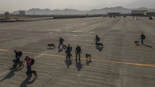 MWDs and handlers crossing tarmac
