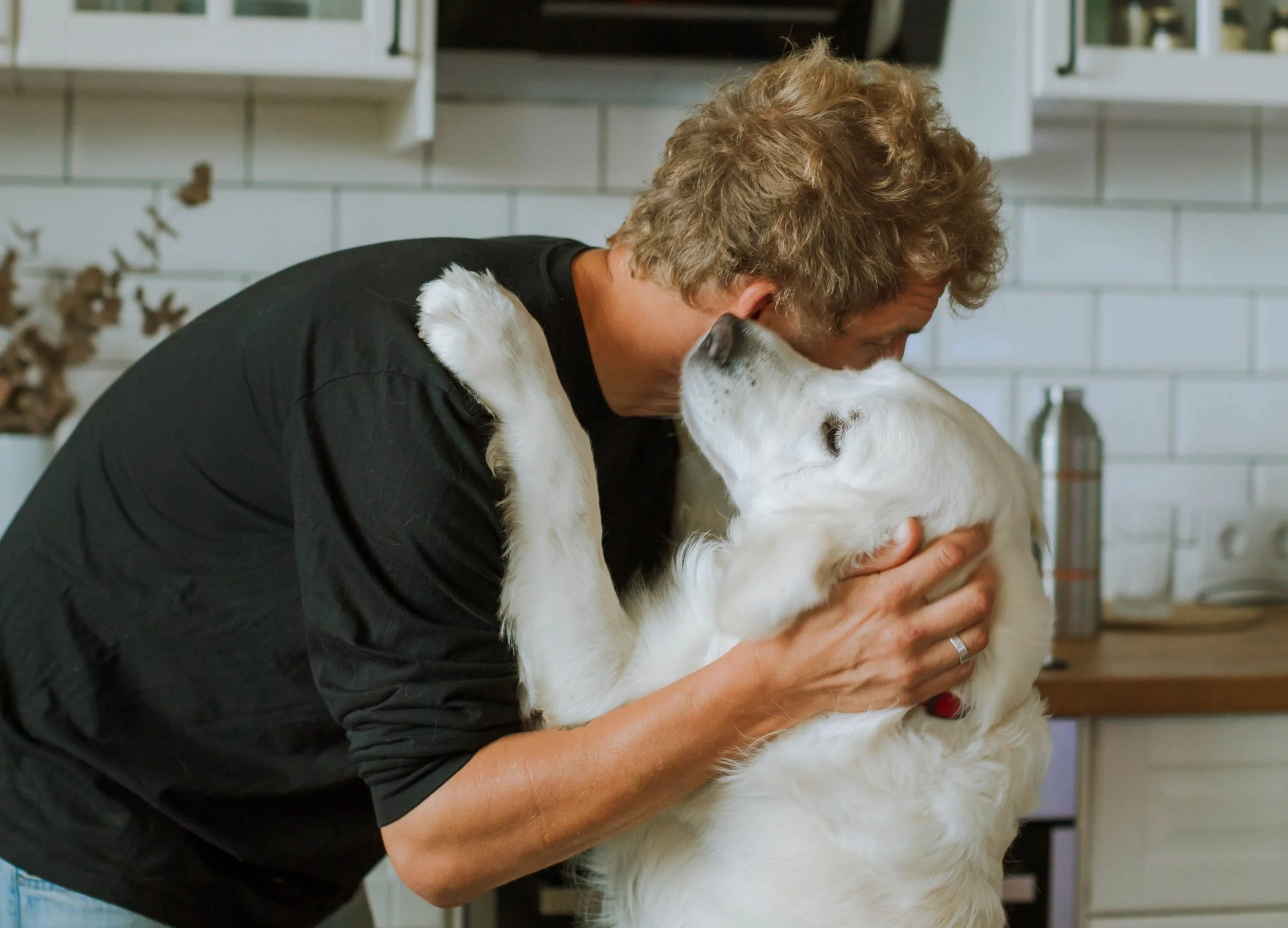 Dog helping handler