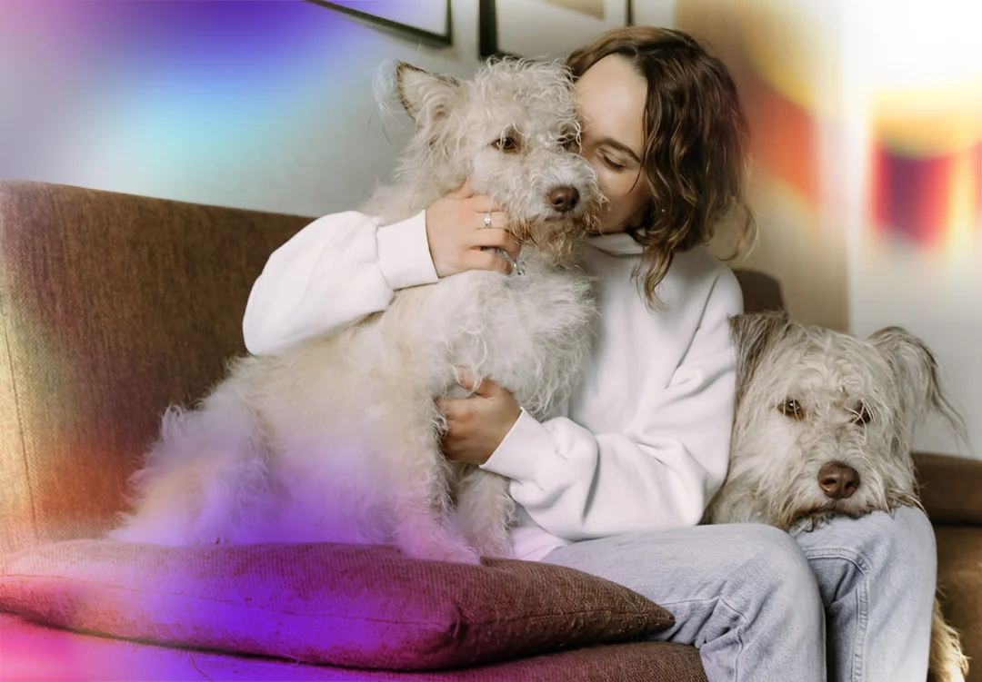 Dogs and owner on couch